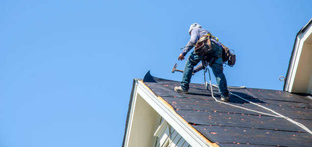 Best Roof Maintenance Services  in East Niles, CA